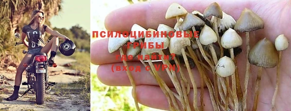 амф Зерноград