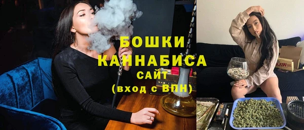 хмурый Инта